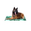 FreeDog ECO Cool Bed SABANA 50 x 40cm espuma 100 Recycled FreeDog ECO Cool Bed SABANA 50 x 40cm espuma 100 Recycled