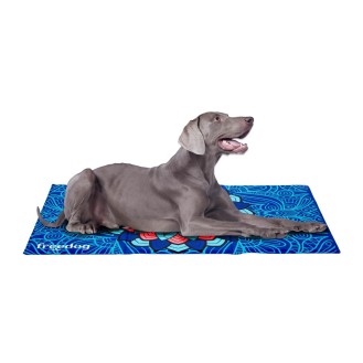 FreeDog Cool Bed AZUL 65 x 50cm espuma 100 Recycled FreeDog Cool Bed AZUL 65 x 50cm espuma 100 Recycled